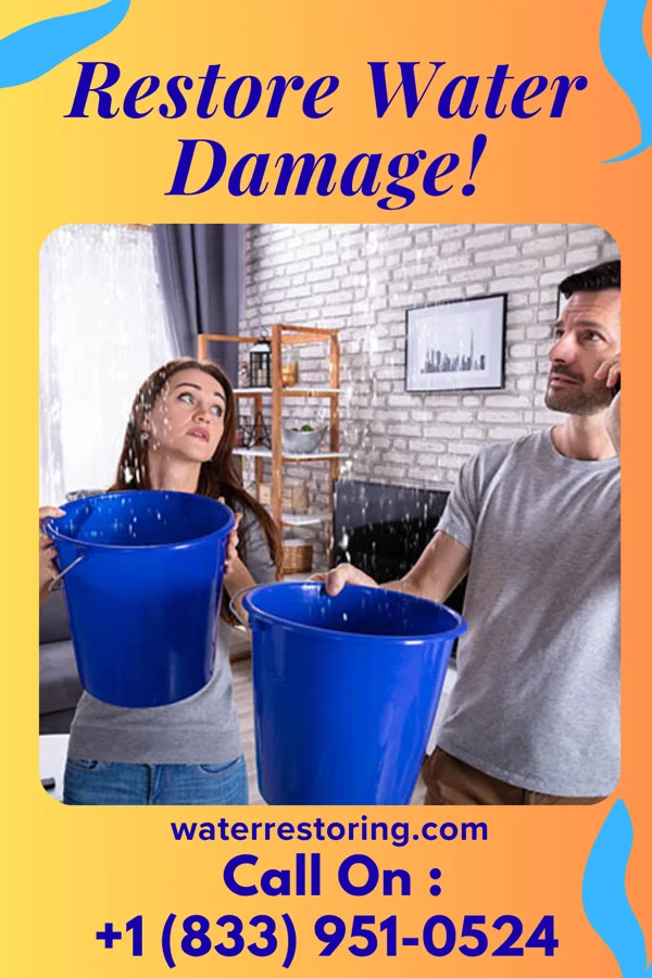 water restoration Expert Storm Damage Partners Meadowlands
