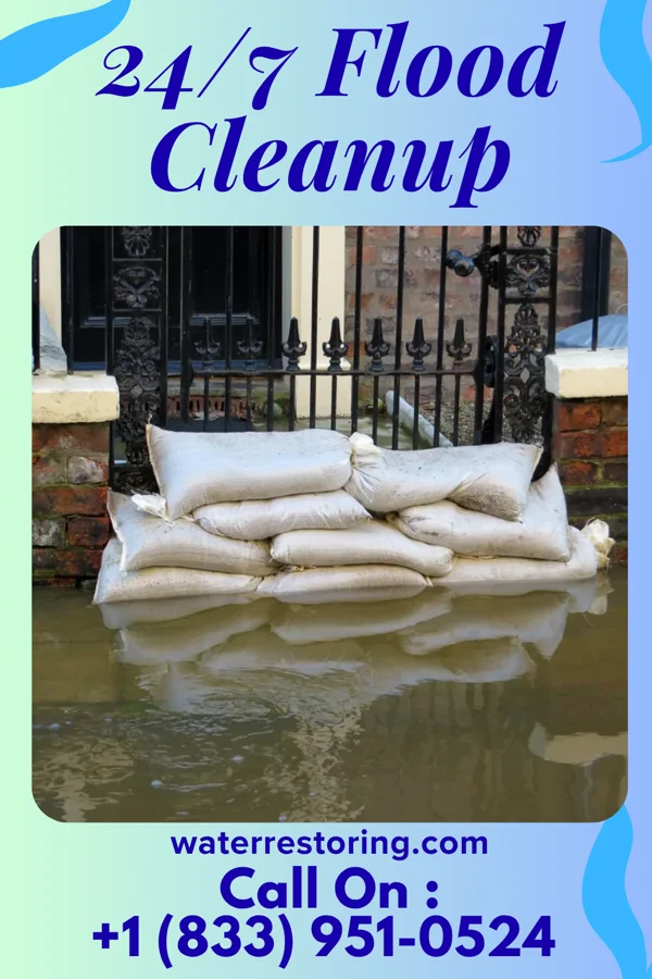 24/7 Flood Cleanup in Meadowlands, MN
