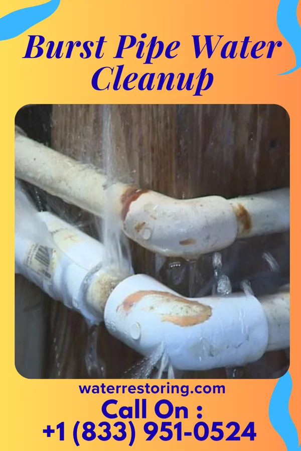 Burst Pipe Water Cleanup in Meadowlands, MN