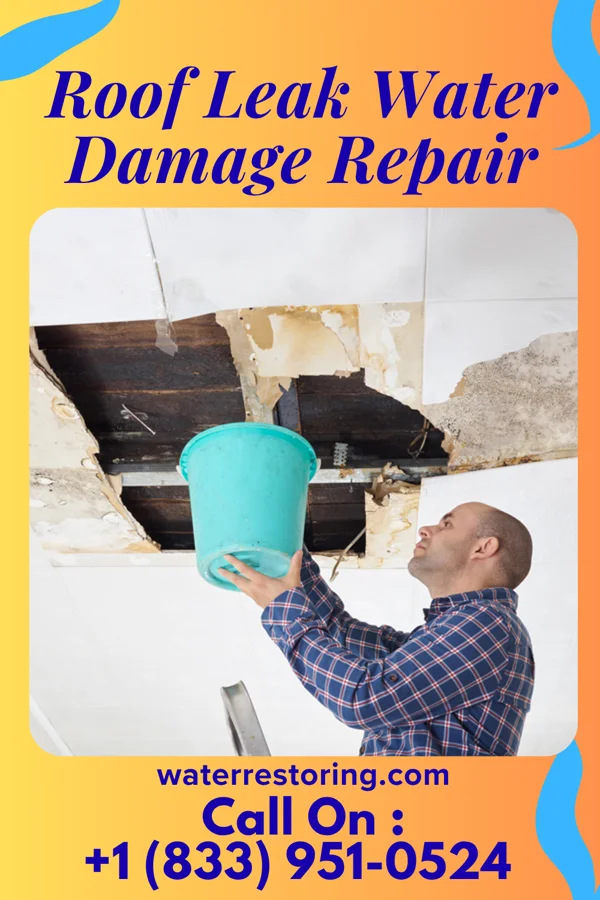 Roof Leak Water Damage Repair in Meadowlands, MN