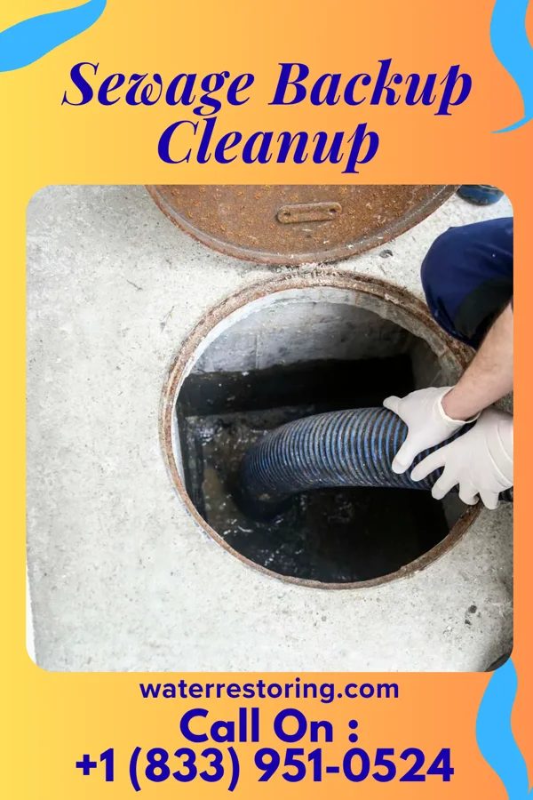 Sewage Backup Cleanup in Meadowlands, MN