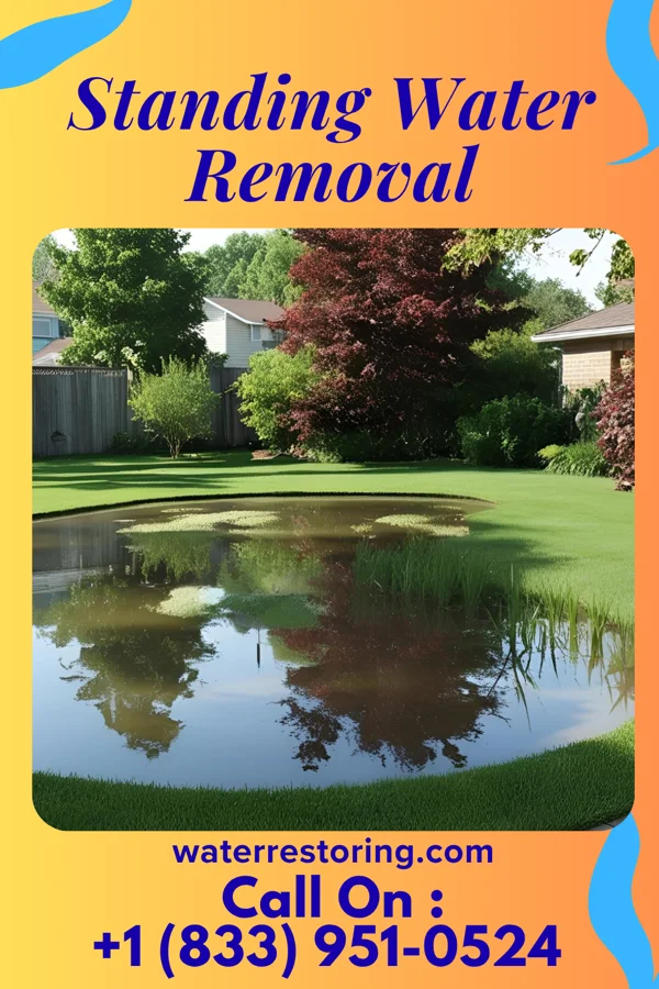 Standing Water Removal in Meadowlands, MN